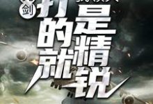 亮剑：我领兵，打的就是精锐！小说，亮剑：我领兵，打的就是精锐！张合-贝壳文学