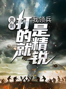 亮剑：我领兵，打的就是精锐！小说，亮剑：我领兵，打的就是精锐！张合