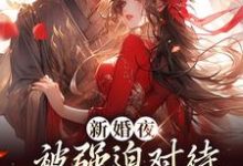 小说《新婚夜被强迫对待，这叫不近女色？》章节免费阅读-贝壳文学