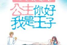 《倾世绝恋之公主你好我是王子》小说章节在线试读，《倾世绝恋之公主你好我是王子》最新章节目录-贝壳文学