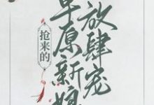 小说《抢来的草原新娘放肆宠》章节免费阅读-贝壳文学