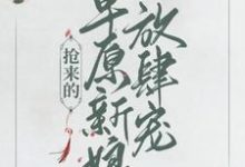 主角叫乔灵儿赤烈尧小说抢来的草原新娘放肆宠章节免费阅读-贝壳文学