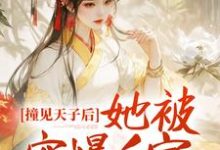 撞见天子后，她被宠爆后宫小说，撞见天子后，她被宠爆后宫免费阅读-贝壳文学