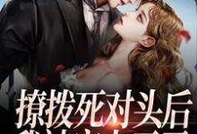 撩拨死对头后，我被宠上天了小说，撩拨死对头后，我被宠上天了最新章节-贝壳文学