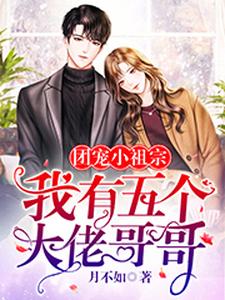 团宠小祖宗：我有五个大佬哥哥小说，团宠小祖宗：我有五个大佬哥哥夜九厉墨冷夜悠悠林立