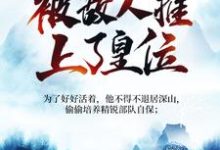 在线寻找夏天司马兰的小说，被追杀的我，被敌人推上了皇位免费阅读-贝壳文学