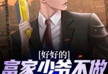 完结版《好好的富家少爷不做，要做流浪汉》免费阅读-贝壳文学