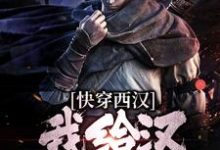 主角叫陆鸣小说快穿西汉，我给汉武帝剧透章节免费阅读-贝壳文学