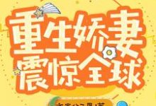 主角叫林初瞳陆妄年程延小说重生娇妻震惊全球章节免费阅读-贝壳文学