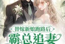 寻找替嫁新娘跑路后，霸总追妻火葬场了小说的最新更新章节-贝壳文学