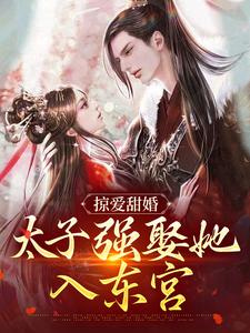掠爱甜婚：太子强娶她入东宫小说全文阅读需要付费吗？寻找免费资源