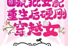 求惊！疯批女配重生后硬刚穿越女小说的全文免费阅读链接-贝壳文学