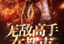 主人公林宇阳刘圆圆小说无敌高手在都市在线章节阅读-贝壳文学