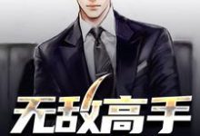 已完结小说《无敌高手在都市》章节在线阅读-贝壳文学
