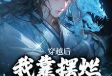 已完结小说《穿越后，我靠摆烂咸鱼大翻身》在线章节阅读-贝壳文学