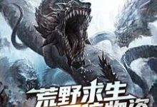 主人公江白慕灵小说荒野求生：开局百倍物资在线章节阅读-贝壳文学