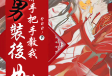 在线寻找女扮男装后，王爷手把手教我如何撩他小说的无删减版本-贝壳文学