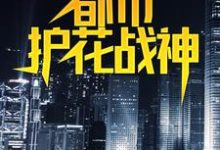 主人公叫叶真林清音的小说都市护花战神在线阅读章节-贝壳文学