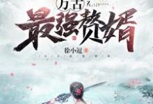 万古最强赘婿小说的免费电子版在哪里可以下载或阅读？-贝壳文学