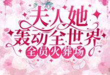 全员火葬场:夫人她轰动全世界这本小说在哪里可以看?哪里有免费试读章节?-贝壳文学