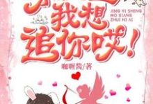 景医生我想追你哎！章节免费在线阅读，唐果果景朝阳完结版-贝壳文学