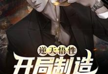 陈江的完整故事在哪里？读逆天悟性，开局制造可控核聚变小说-贝壳文学