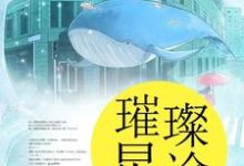 璀璨星途这本小说完结了吗?免费查看最新章节-贝壳文学
