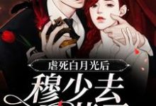 虐死白月光后，穆少去买药了（鸥小檬穆北森）在线免费阅读-贝壳文学