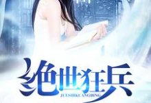 《绝世狂兵》全集免费在线阅读（苏石慕容雪）-贝壳文学