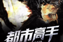 已完结小说《都市高手》在线章节阅读-贝壳文学