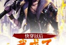 曹操刘备小说叫什么（快穿以后，我成了卧龙师弟免费阅读）-贝壳文学