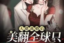大佬离婚后美翻全球只想当咸鱼小说,大佬离婚后美翻全球只想当咸鱼免费阅读-贝壳文学