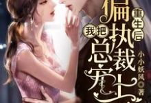 重生后，我把偏执总裁宠上天小说无弹窗阅读的网站推荐-贝壳文学