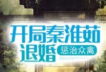 开局秦淮茹退婚，惩治众禽小说的无弹窗阅读体验，寻找免费阅读网站-贝壳文学