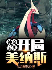 神奇宝贝：开局美纳斯小说，神奇宝贝：开局美纳斯叶寻