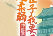 小说《冲喜医妃：这柔弱世子我要了！》章节免费阅读-贝壳文学