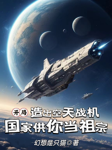 开局造空天战机，国家供你当祖宗映南安然小说免费阅读
