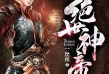 绝世神帝小说有没有完结版在线？-贝壳文学