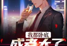完结版《我都卧底成老大了，还不收网？》章节阅读-贝壳文学