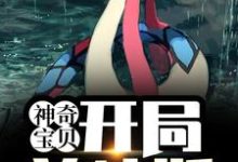 已完结小说《神奇宝贝:开局美纳斯》在线章节阅读-贝壳文学