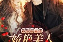 小说《嫁腹黑大佬，娇艳美人撩他诱哄他》章节免费阅读-贝壳文学