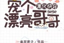 黑化快穿：宠个漂亮哥哥这本小说在哪里可以看？哪里有免费试读章节？-贝壳文学