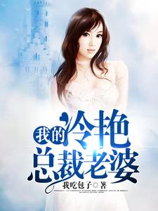 我的冷艳总裁老婆小说，我的冷艳总裁老婆在线阅读
