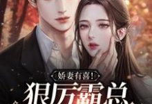 完结版《娇妻有喜！狠厉霸总他走下神坛》章节阅读-贝壳文学
