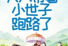 小说《首辅大人不好了！夫人带着小世子跑路了》章节免费阅读-贝壳文学
