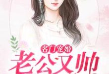 已完结小说《名门宠婚：老公又帅又给力》章节在线阅读-贝壳文学