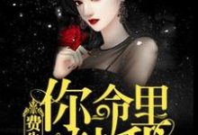 费先生,你命里缺我楚千荨费南城小说在线章节免费阅读-贝壳文学