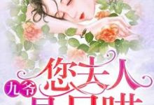 郁婉霍九卿小说在哪里可以看-贝壳文学