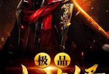 极品小神婿叶天陈雅丽，极品小神婿小说免费阅读-贝壳文学