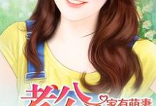 家有萌妻这本小说在哪里可以看？哪里有免费试读章节？-贝壳文学